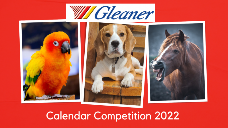 2022 calendar photography competition